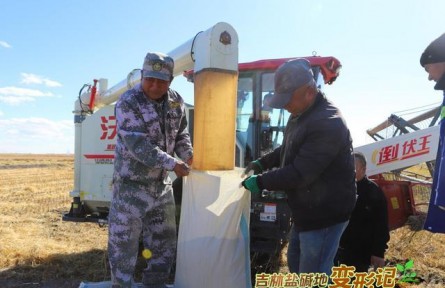 破“堿”重生！吉林鹽堿地變形記