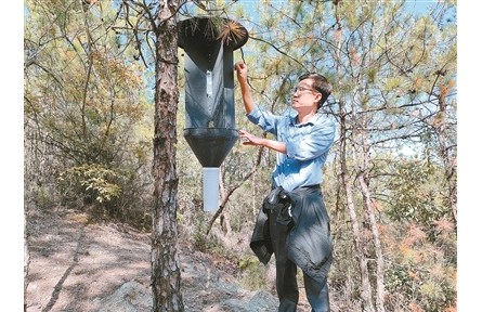 樊建庭：用科技筑牢重大林業(yè)有害生物防線(xiàn)