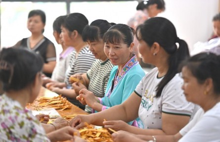 新華時評：一張藍(lán)圖繪到底——“解碼中國打贏脫貧攻堅戰(zhàn)的世界意義”系列評論之二