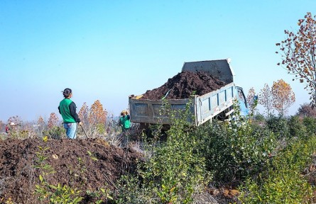 科技名詞|堆肥 compost