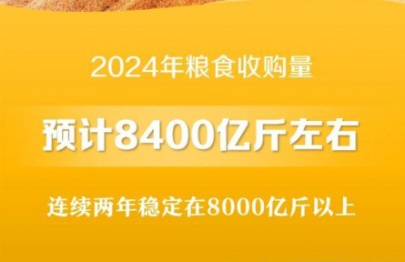 2024年糧食收購量預計8400億斤左右