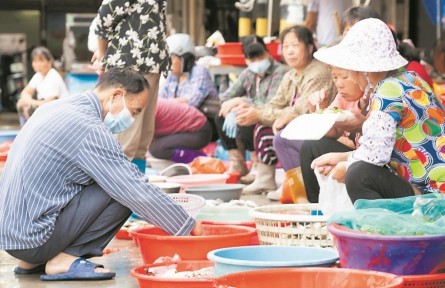 福建詔安：管好用活農(nóng)村集體“三資”