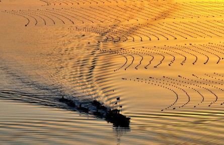 春耕沃野生機(jī)勃勃 各地加緊春季農(nóng)業(yè)生產(chǎn)