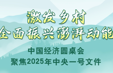 激發(fā)鄉(xiāng)村全面振興澎湃動(dòng)能——中國經(jīng)濟(jì)圓桌會(huì)聚焦2025年中央一號(hào)文件