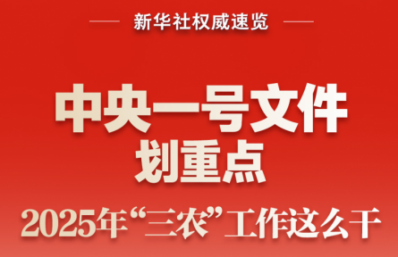 中央一號文件劃重點(diǎn)，2025年“三農(nóng)”工作這么干