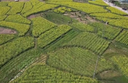 福建：在春耕中 “播種”新質(zhì)生產(chǎn)力