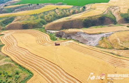 讓中國(guó)碗裝更多中國(guó)糧